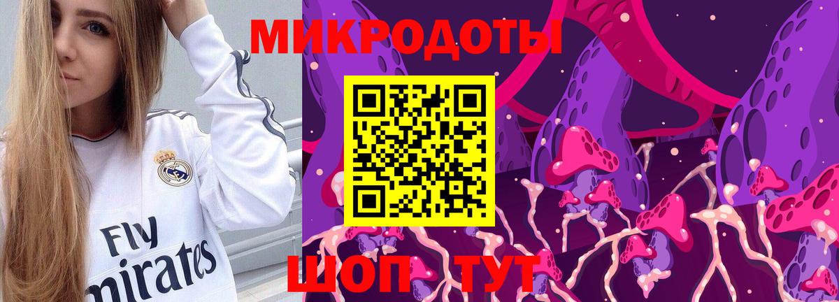 Кандалакша  Псилоцибиновые грибы Magic Shrooms  Вход с VPN 